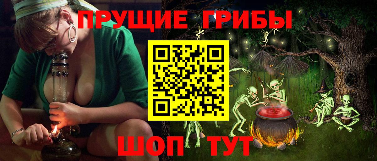Галлюциногенные грибы Psilocybine cubensis Малоярославец